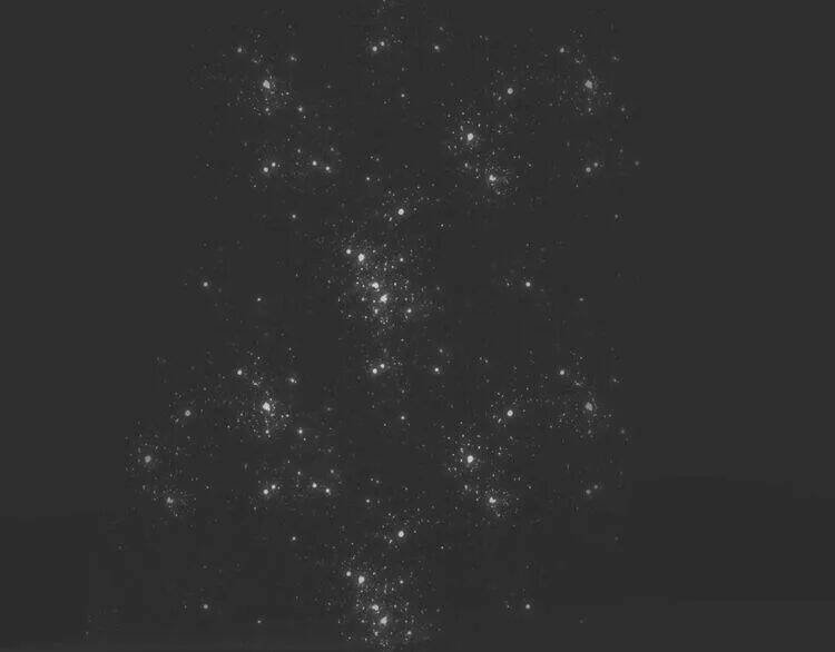 ta chỉ muốn giết ngươi chapter 27 40