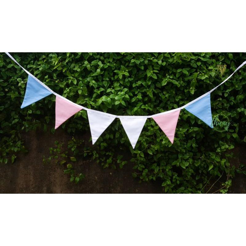 Dây cờ tam giác nhiều màu cầu vồng, trang trí decor, dây cờ Transgender chuyển giới LGBTQ+ Flag