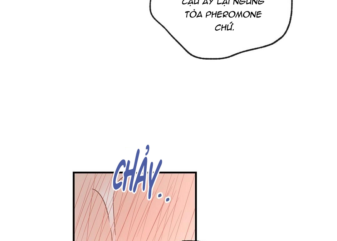 phức cảm tự ti của omega chapter 19 186