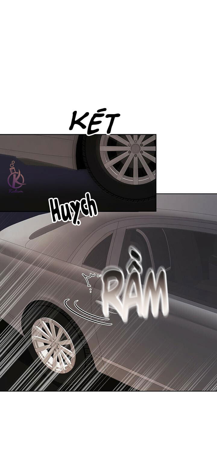 hình thái khởi sinh chapter 28 1