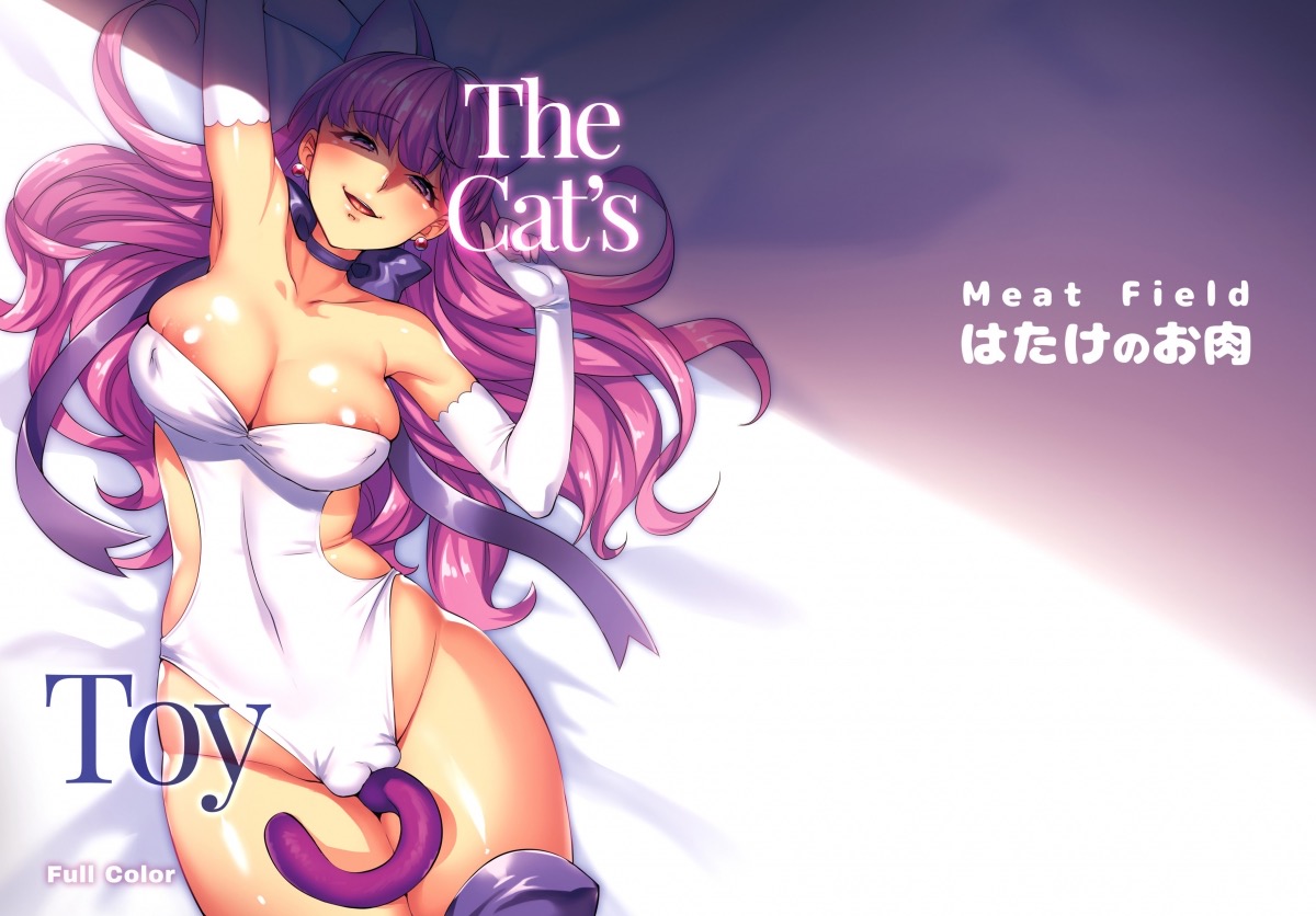 the cat’s toy chapter 1 17