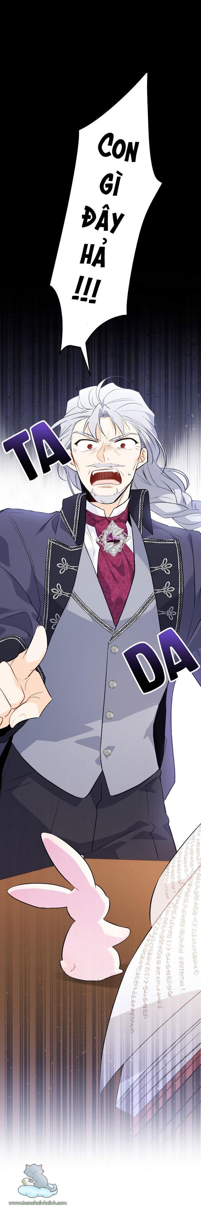 quan hệ cộng sinh giữa báo đen và thỏ trắng chapter 47 70