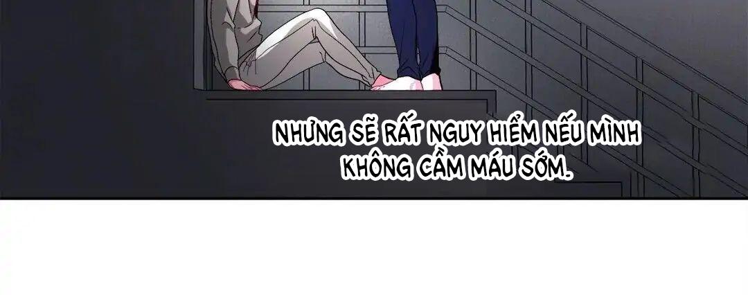 hãy vâng lời anh chapter 37 50