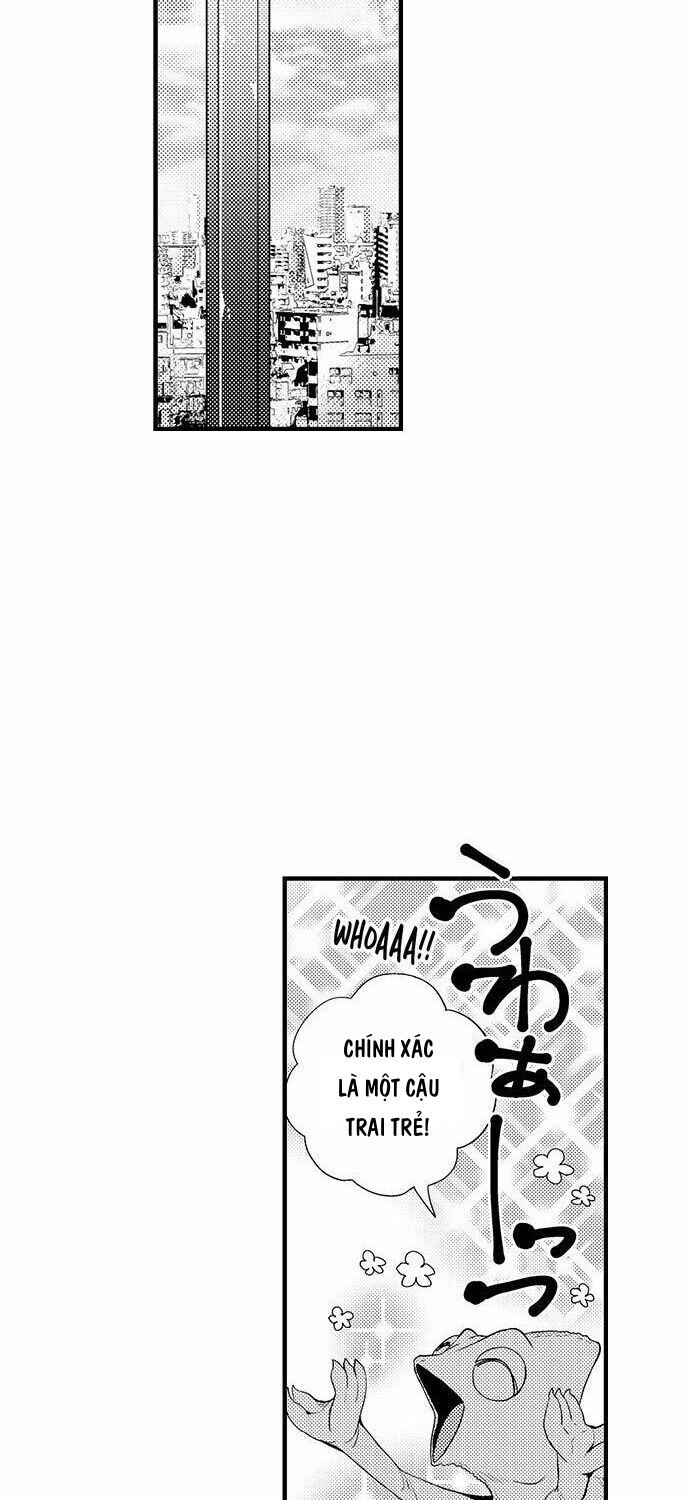 nàng quỷ succbus và bữa ăn hoàn mỹ chapter 5 18