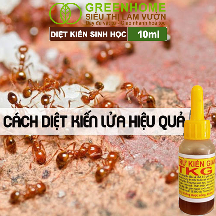 Chế Phẩm Diệt Kiến Greenhome, TKG Bio, Chai 10ml, Thành Phần Tự Nhiên,Diệt Tận Gốc Kiến Hôi,Kiến Lửa