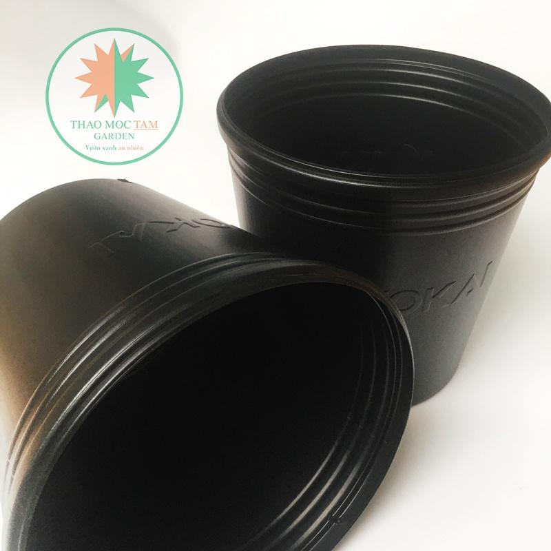 Chậu Trồng Cây 30x28cm TOKAI – Chậu to trồng cây chất lượng Nhật