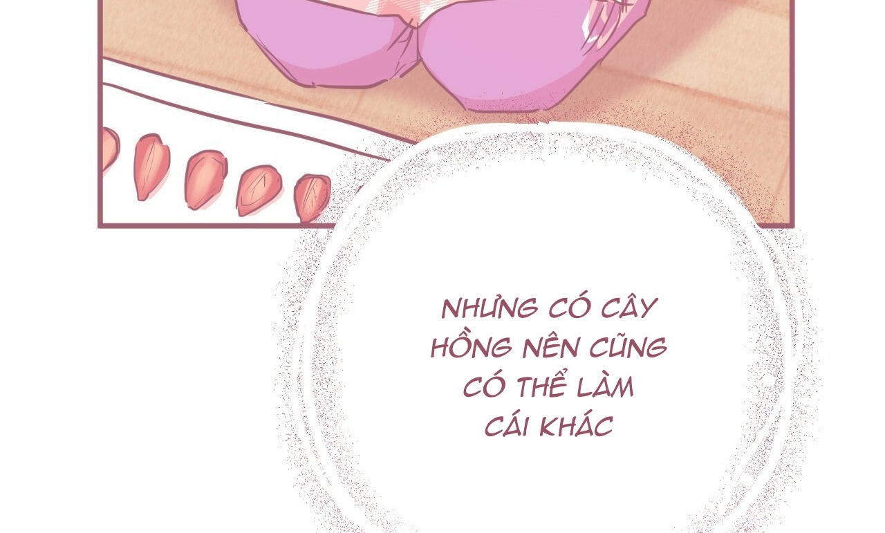 đàn thỏ của habibi chapter 19 267