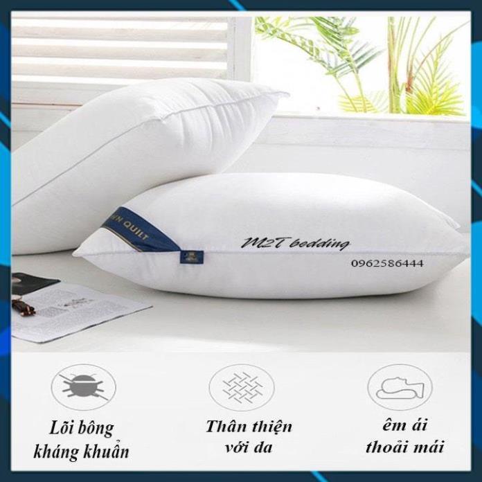 Ruột gối nằm Pillow cao cấp bedding - ruột gối hơi nhập khẩu kích thước 45x65 cm