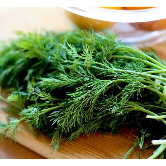 Hạt Giống Rau Thì Là - TN66 - Trồng Quanh Năm - Gói 5Gr