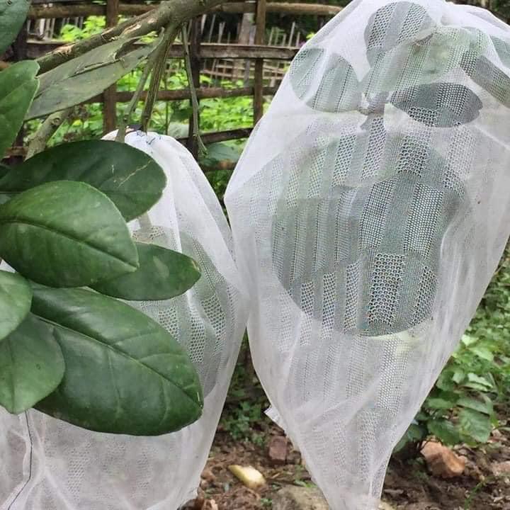 Túi Bao Trái Bưởi, Xoài, Sầu Riêng, Mãng Cầu Xiêm, Bộ 100 túi bao trái Vãi Không Dệt 30x40cm