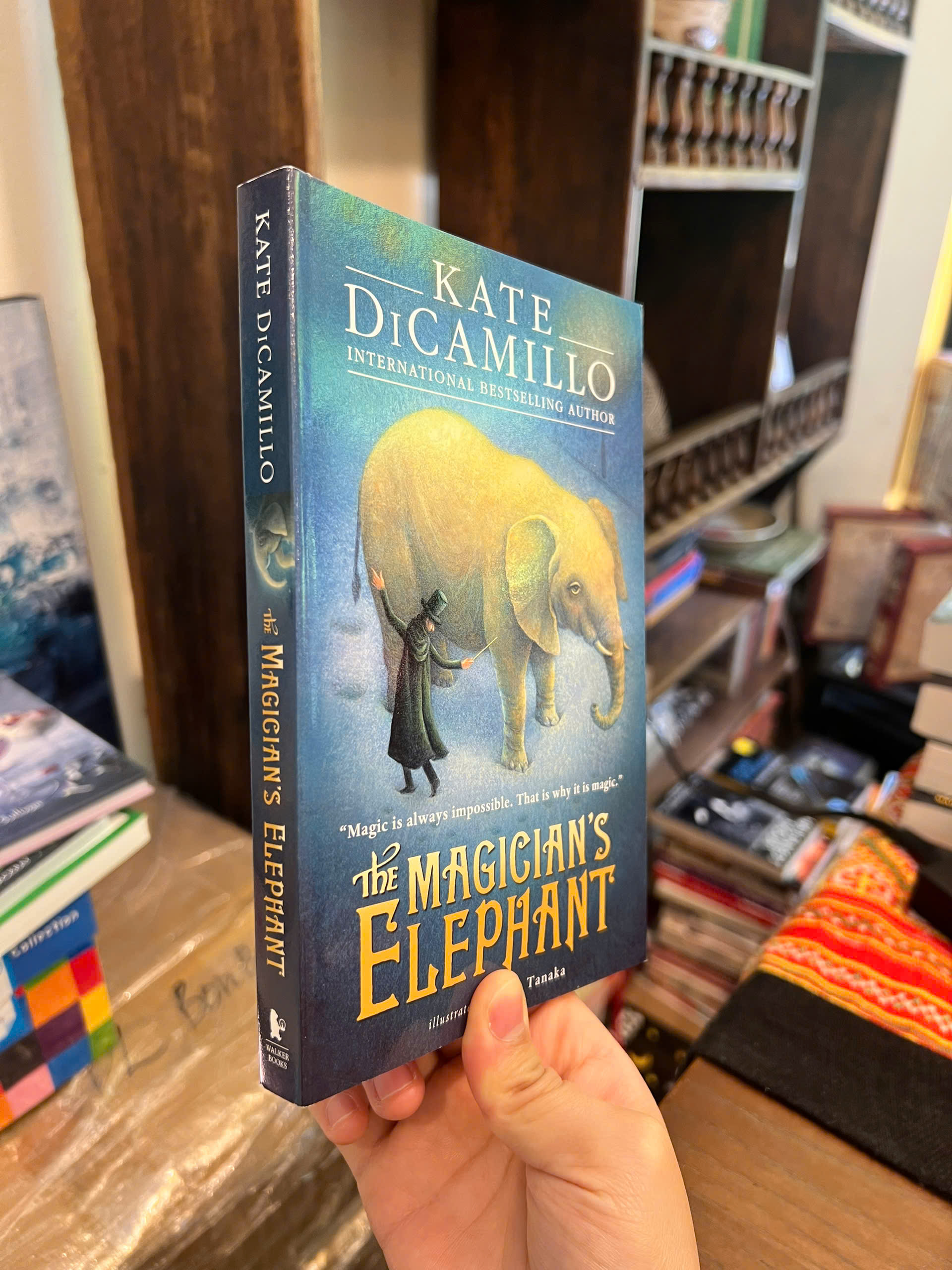 Sách - The Magician's Elephant by Kate DiCamillo | Fantasy / Young Adult / Ngoại văn Nhập khẩu