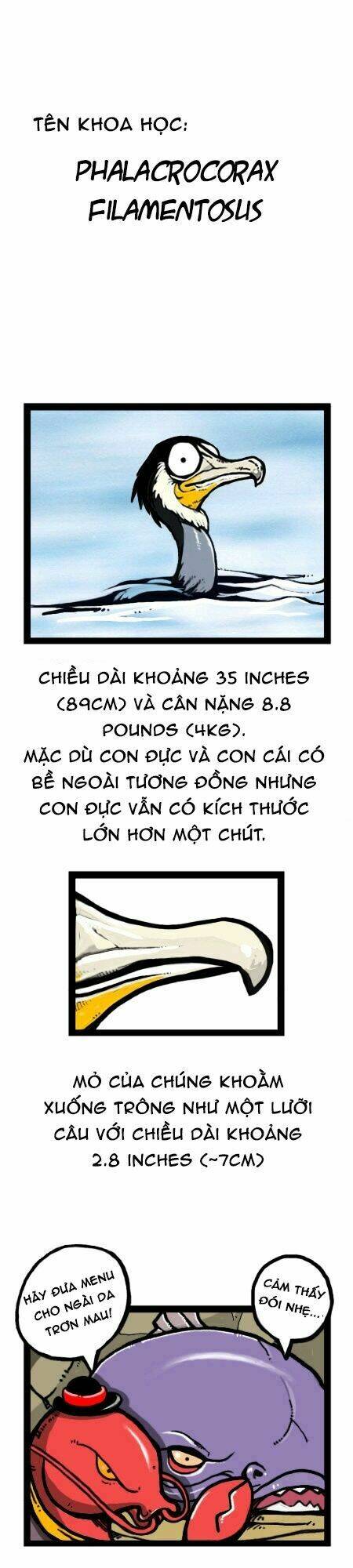 earth, human, and animal chapter 20 12