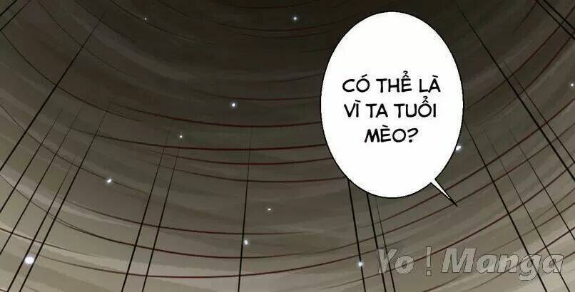 độc y cuồng phi chapter 43 27