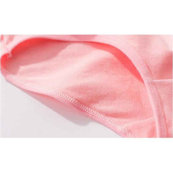 Quần Lót Nữ ️ ️Quần Chip Cotton H&P Pulo - Quần lót kháng khuẩn mềm mại xuất Mỹ