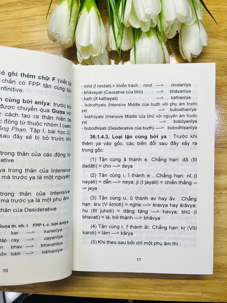 Sách - Tự Học Tiếng Phạn - Tập 4 (Phần2-HQ)