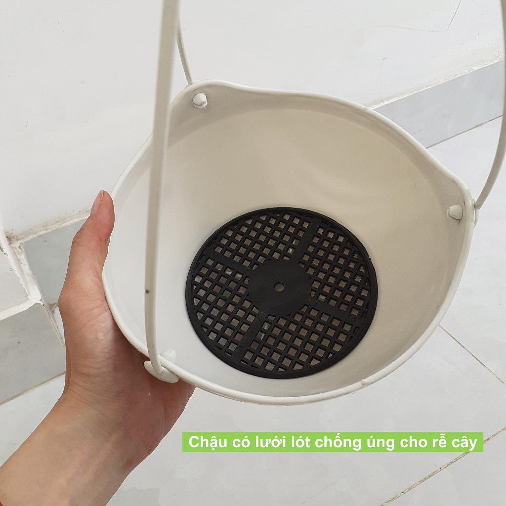 Chậu treo thông minh trồng cây cảnh, hoa kiểng hình tròn vân sọc