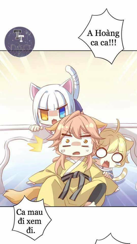 dưới móng vuốt mèo chapter 6 23