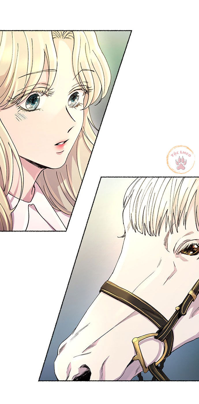 như gió trên cành cây khô chapter 49 40