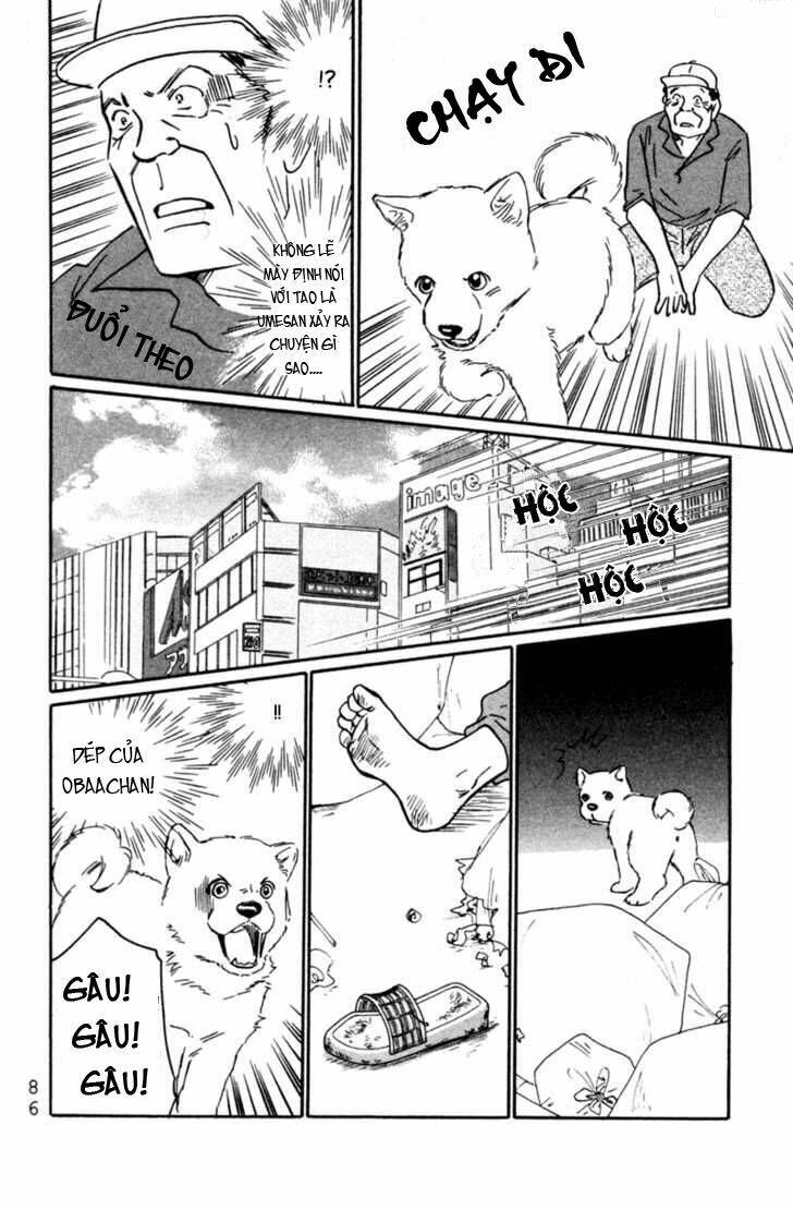 deep love - pao no monogatari chapter 3 16