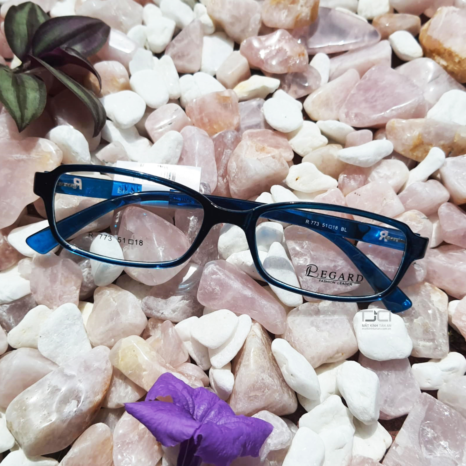 GỌNG KÍNH CẬN UNISEX, NHỰA DẼO, PHOM TRÒNG NHỎ, CHÍNH HÃNG REGARD R773-BL