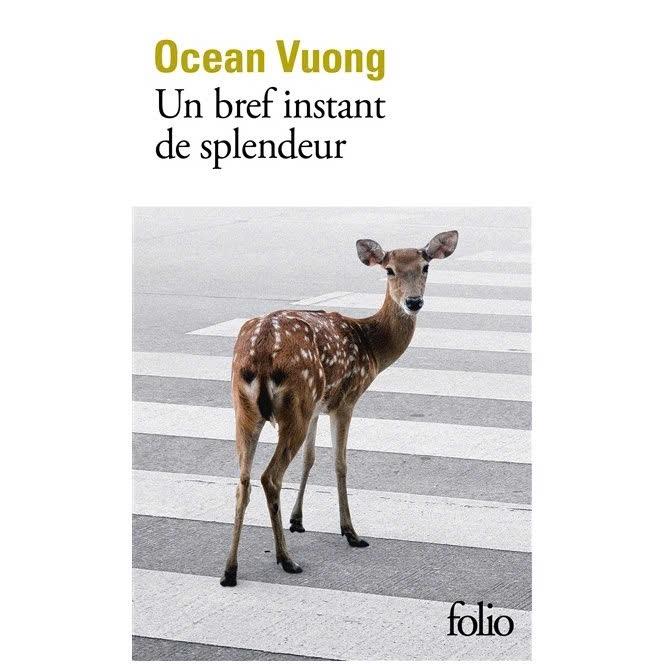 Tiểu thuyết đương đại tiếng Pháp - Un Bref Instant De Splendeur