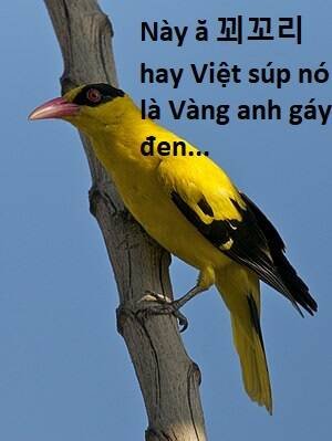 sự lụi tàn của usuzumi chapter 107 83