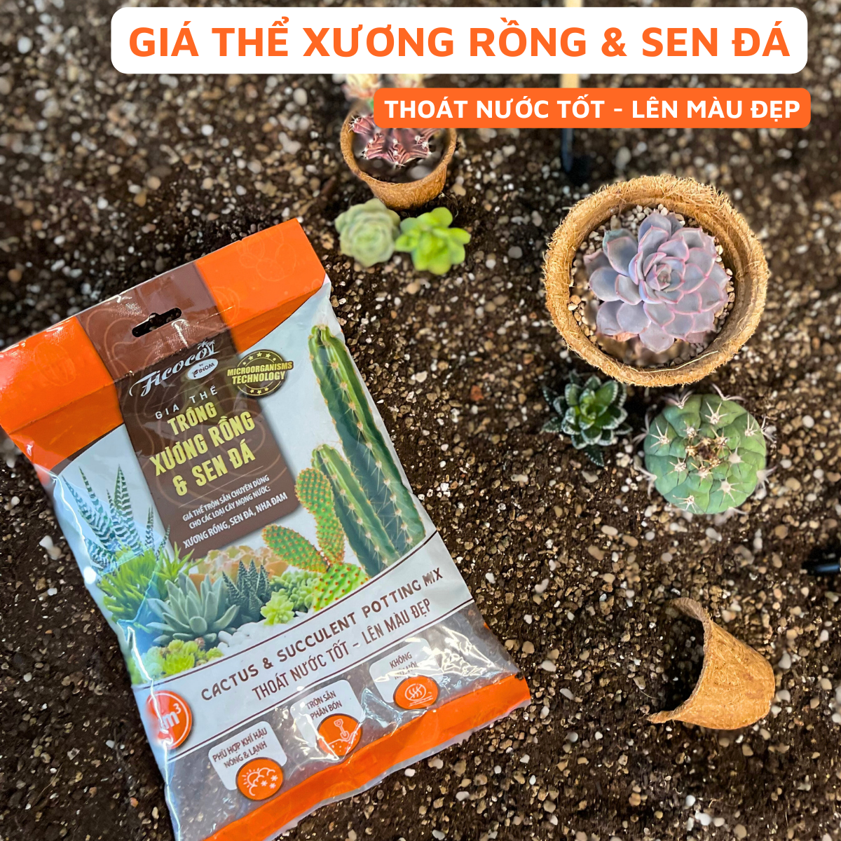 Giá Thể Trồng Xương Rồng, Sen Đá Cao Cấp Ficoco