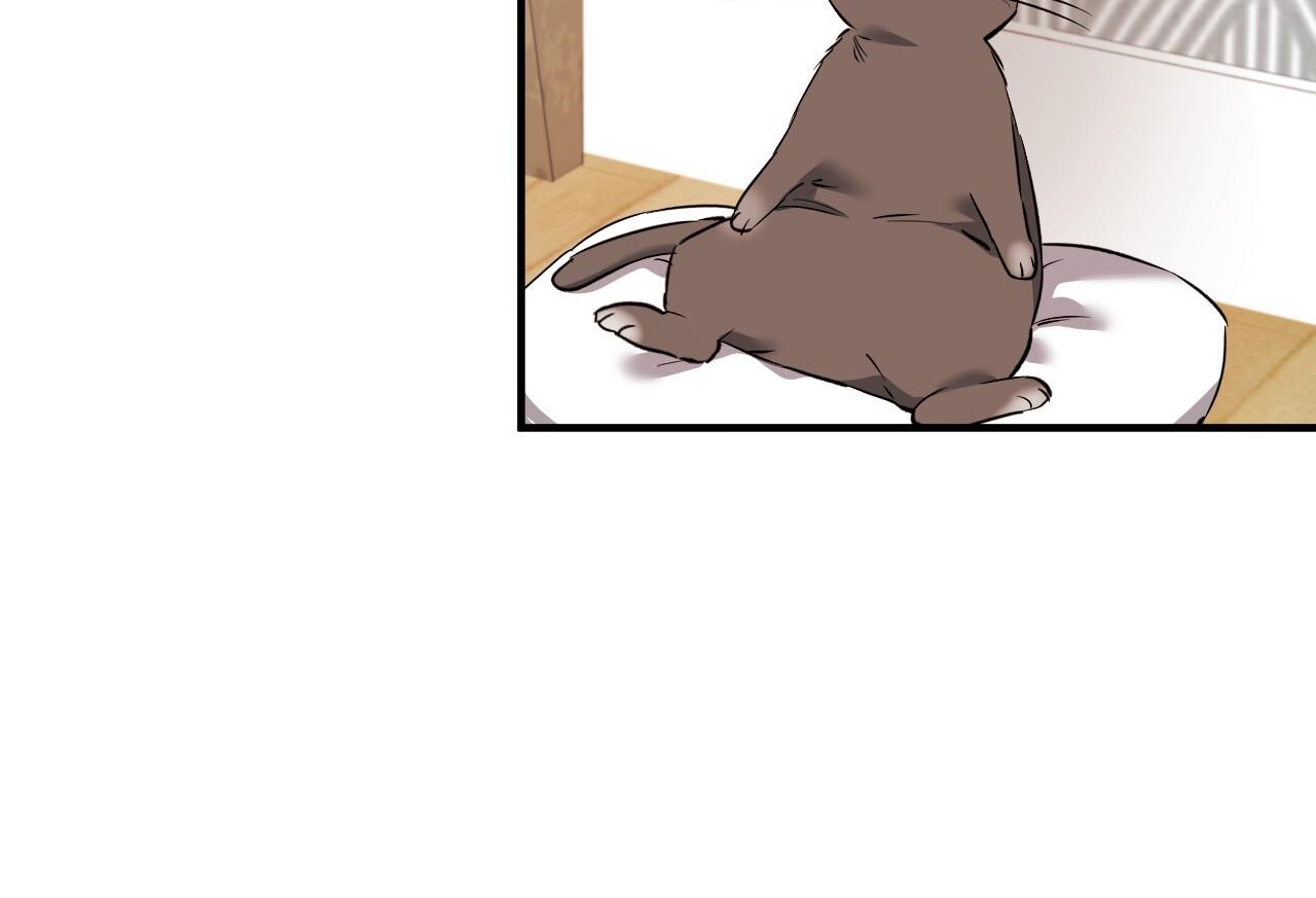 đàn thỏ của habibi chapter 65 232