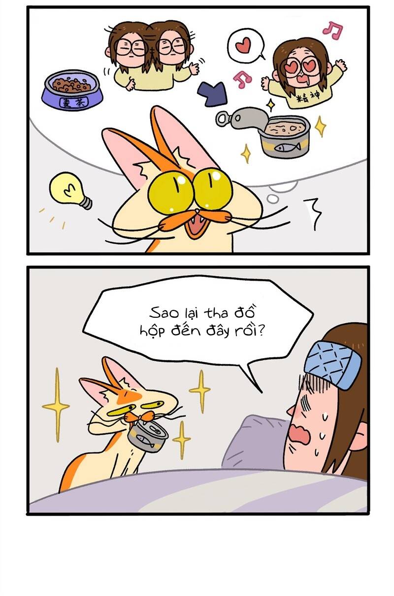 a mãn và mạch trà chapter 11 4