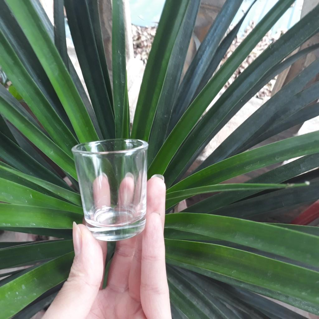 Chén Đựng Rượu Mắt Trâu, Chén Rượu Thủy Tinh Cực Rẻ - Duonghieu6789