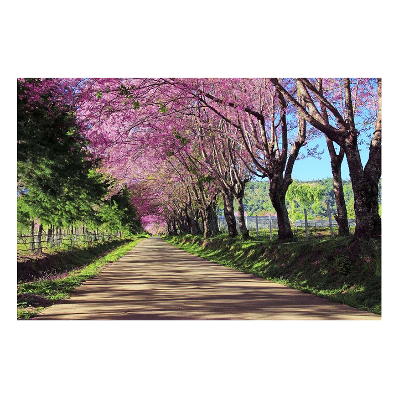 Tranh Dán Tường Phong Cảnh 3D LN0127 - 150 x 100 cm