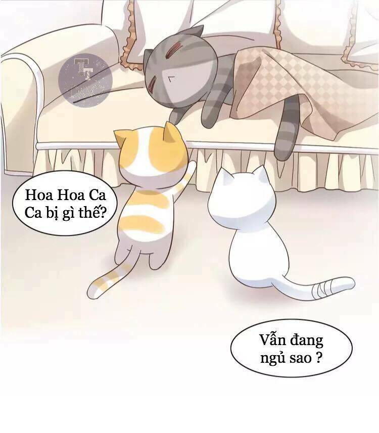 thị hoang chi thần chapter 19 17