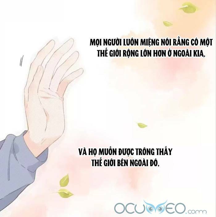 sos! tôi đã yêu một con sâu bướm (phần 2) chapter 21 18