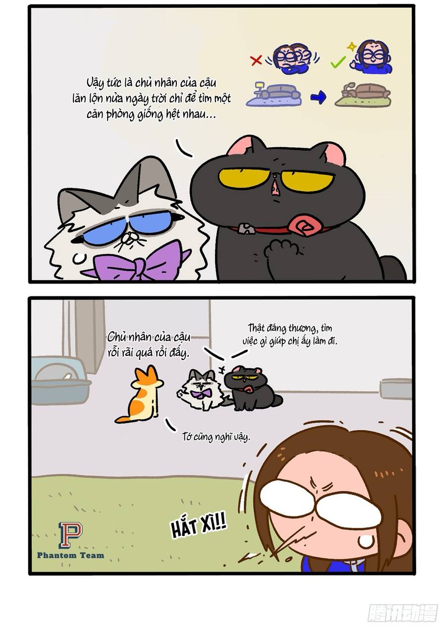 a mãn và mạch trà chapter 149.1 2