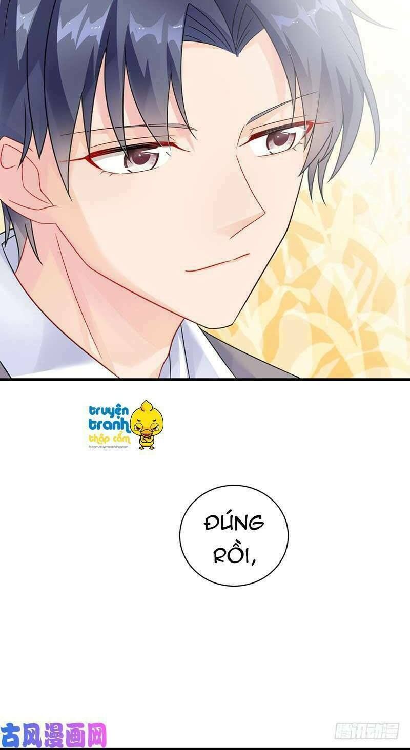 chọc tới chủ tịch tổng tài 2 chapter 57 28