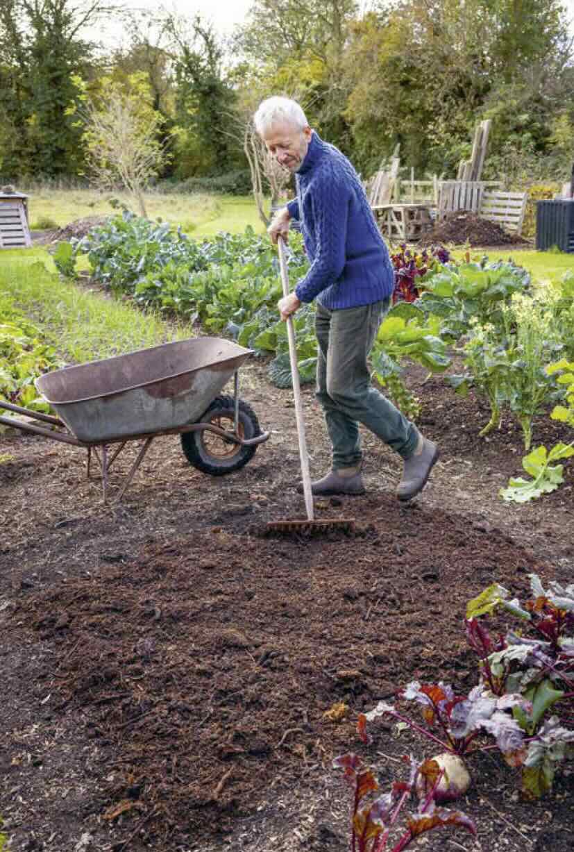 *** Wood chip, chip mulch - tổng kho mảnh gỗ mùn rải sân vườn