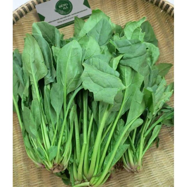 Hạt giống rau cải bó xôi chịu nhiệt F1 - 1 gói 10gram