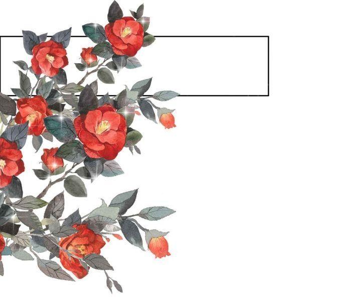 vị cứu tinh định mệnh của bệ hạ chapter 2 3