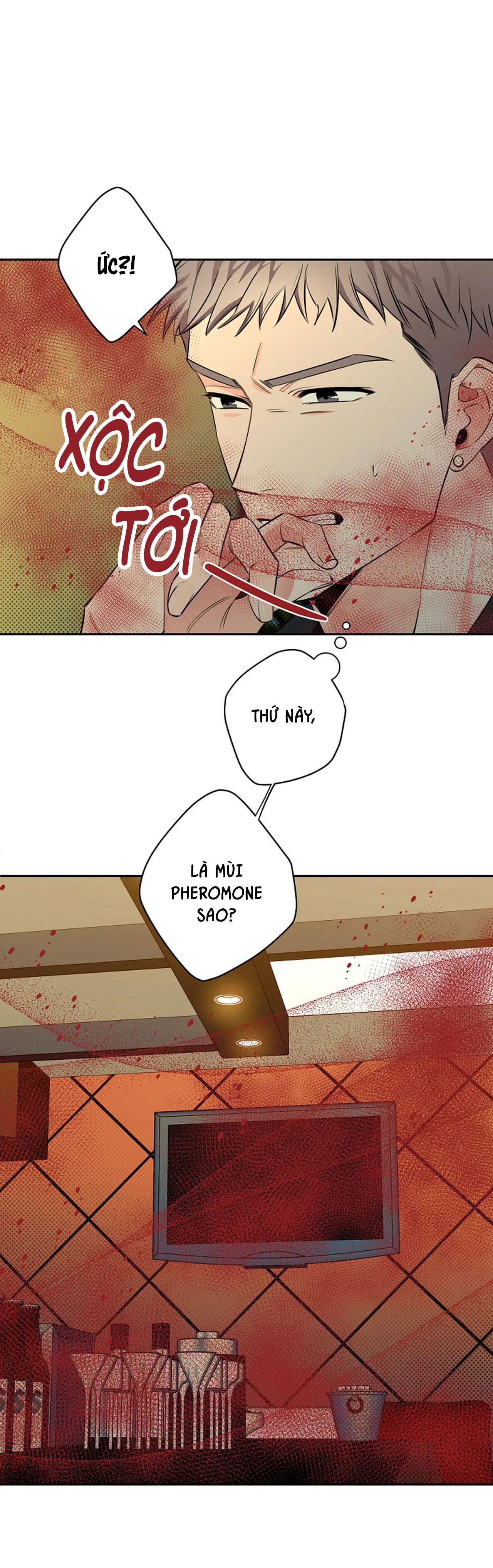 đêm dịu dàng chapter 37 1