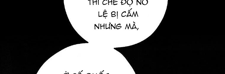 ba người anh trai của tôi là bạo quân chapter 66 18