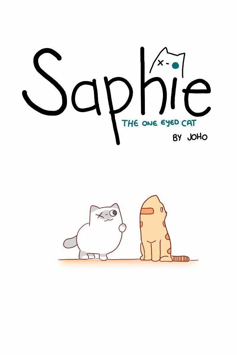 saphie: chú mèo một mắt chapter 22 1