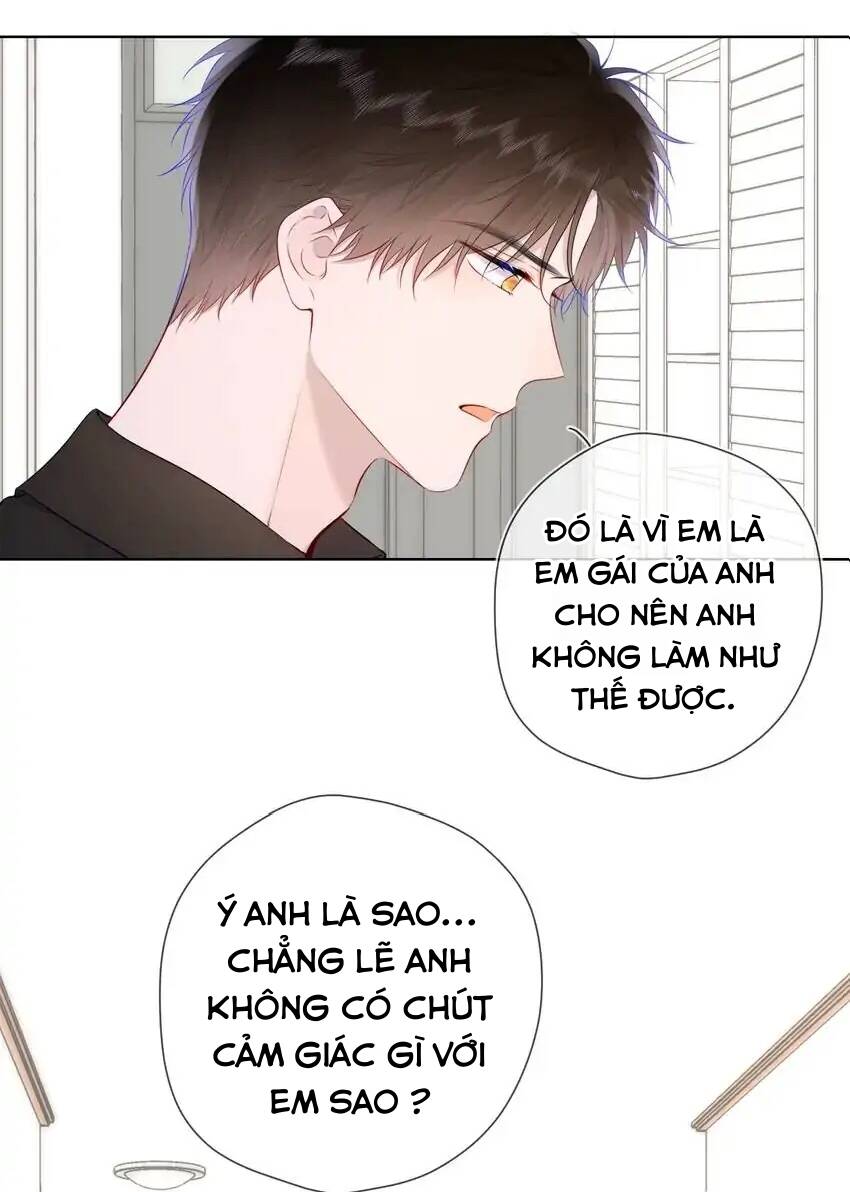 vì sao của tôi chapter 130 9