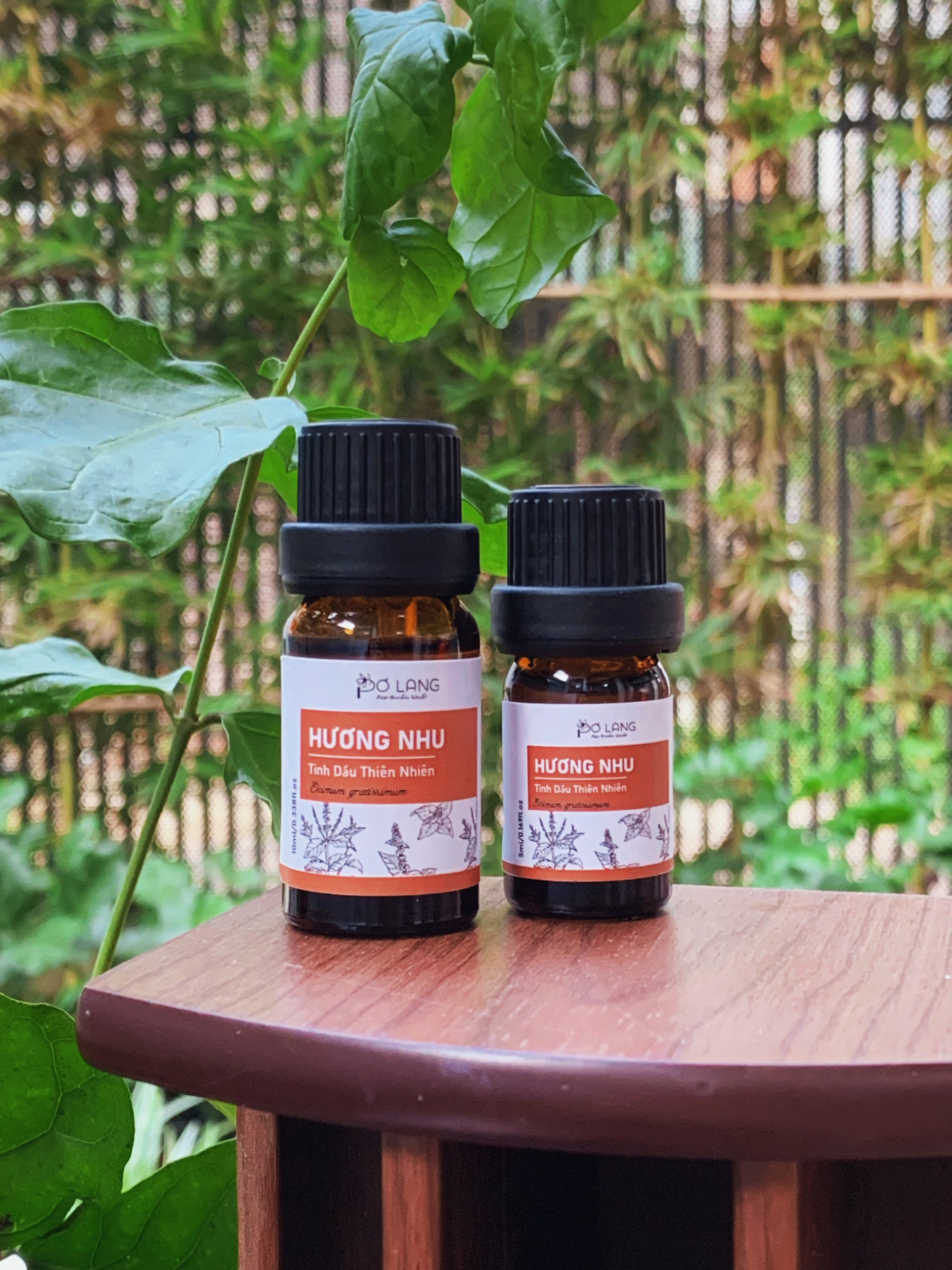 Tinh dầu hương nhu thiên nhiên giúp dưỡng tóc, giúp giải cảm, hỗ trợ giảm đau xương khớp