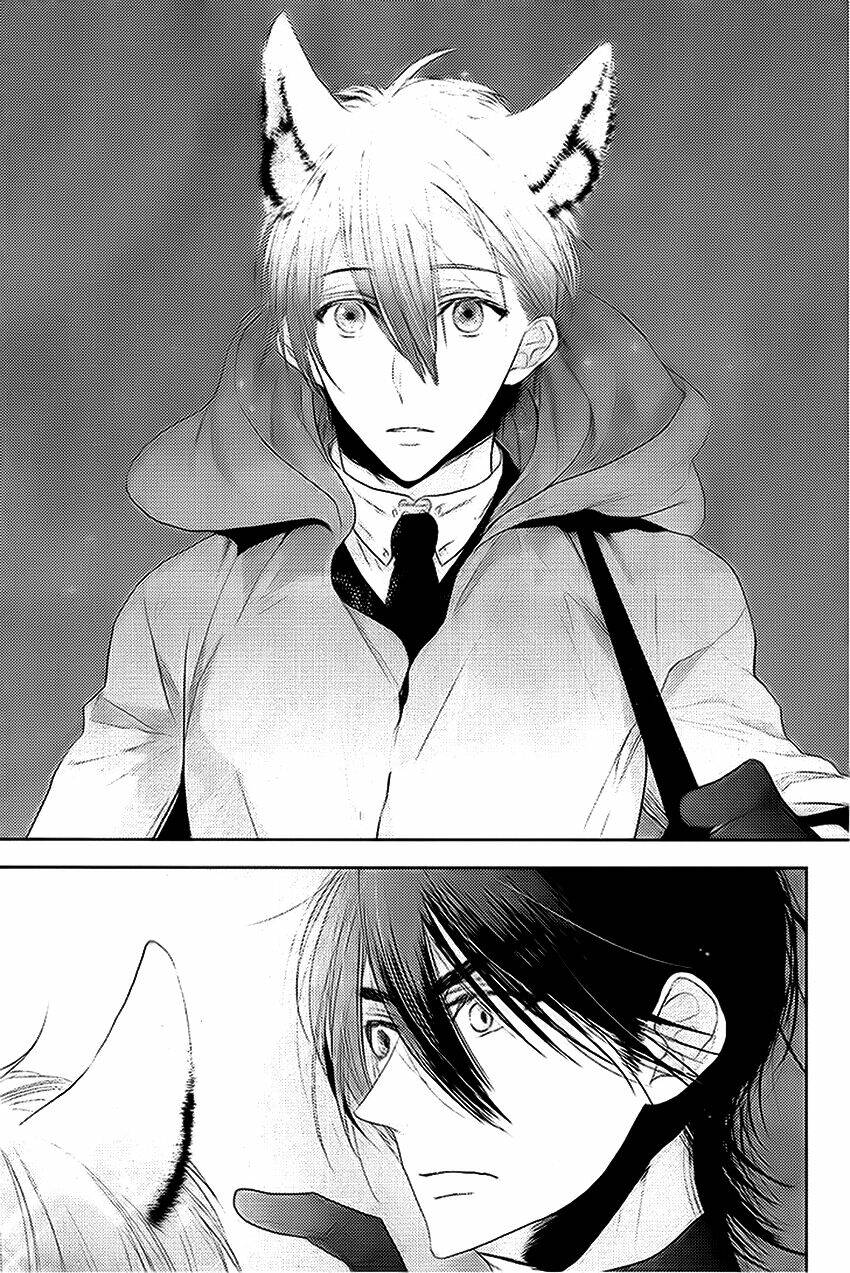 sói đen và cáo bạc chapter 1 35