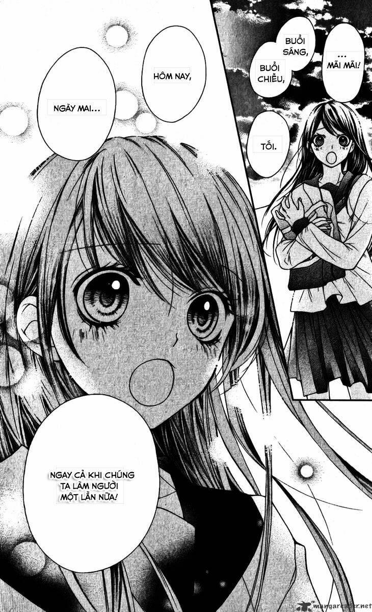 yamamoto zenjirou to moushimasu chapter 15 66