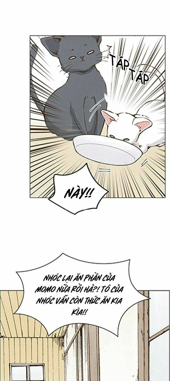 marry me! chapter 35 21