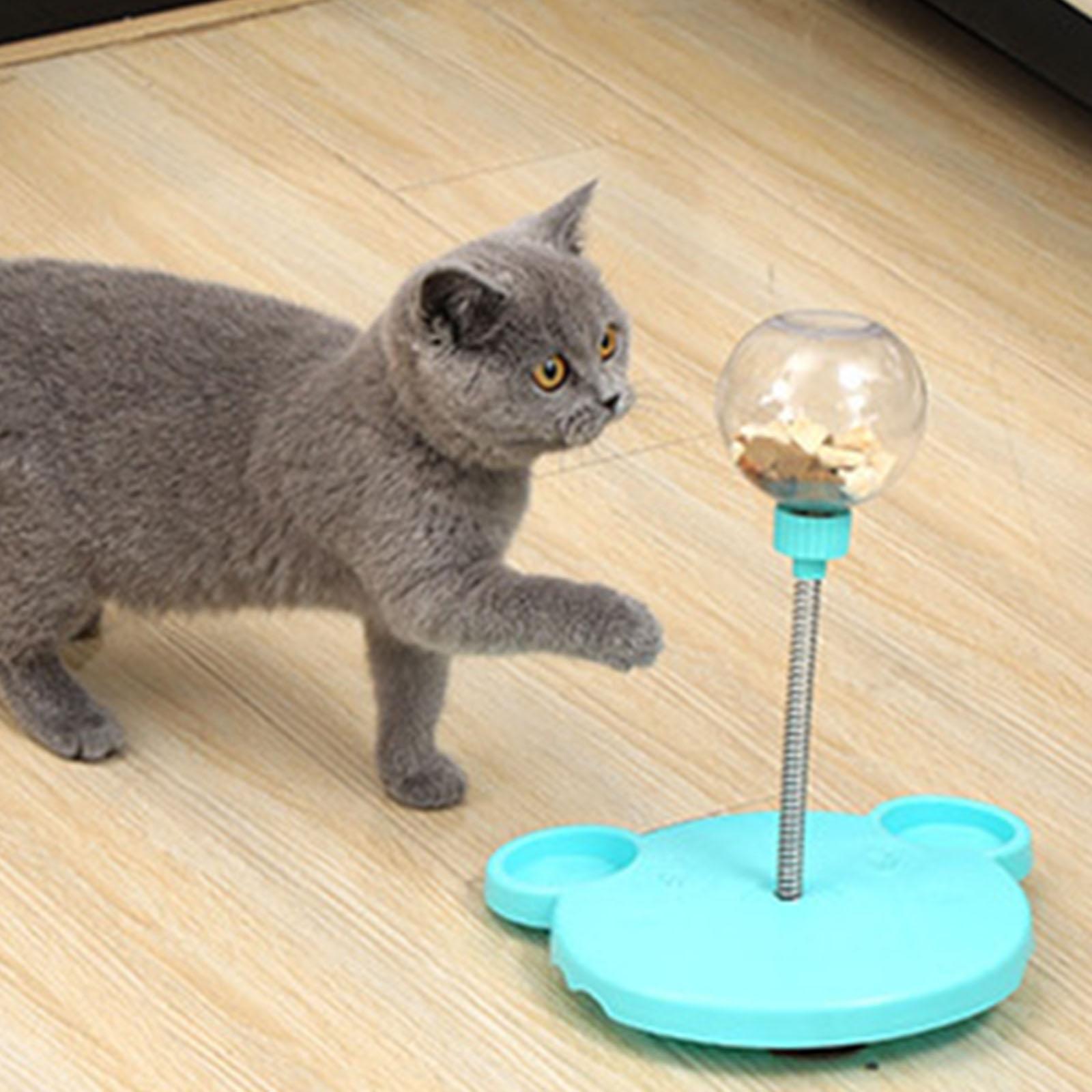 Cat Slow Feeder Toy for Pet Training Exercise