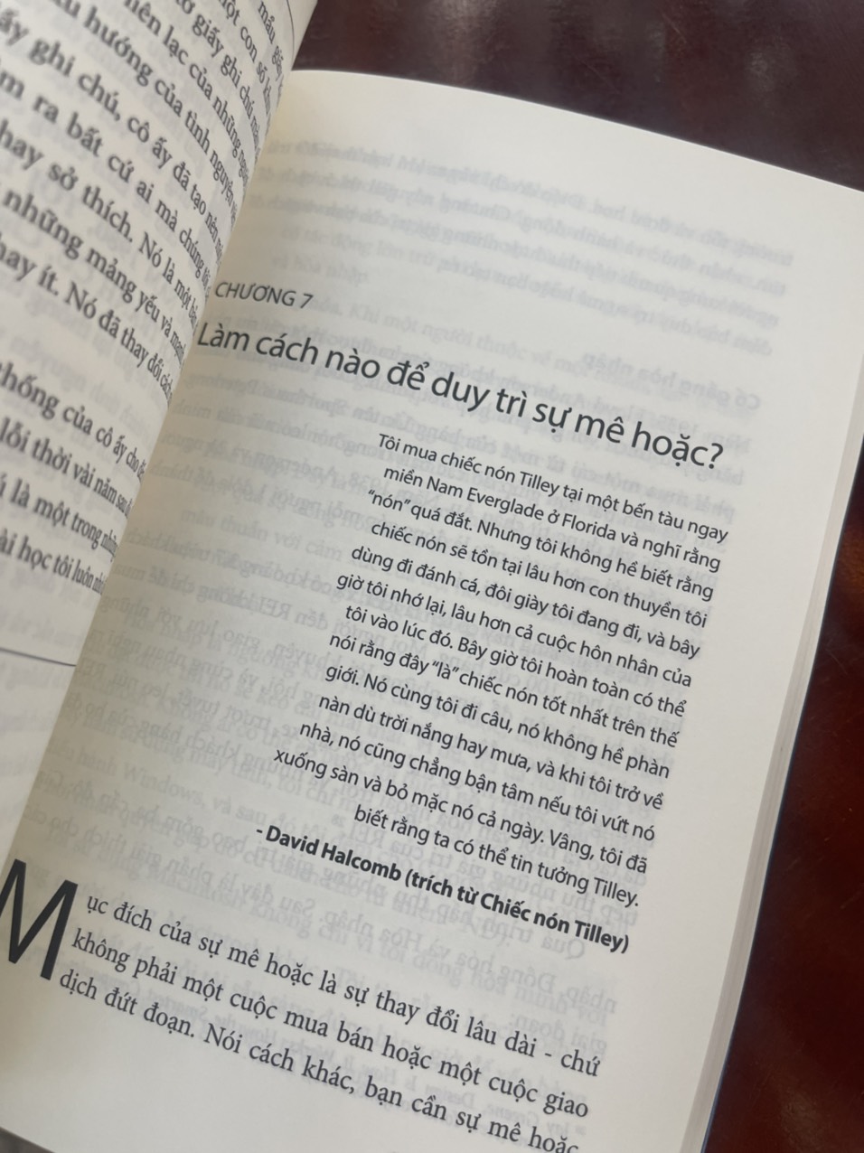 MÊ HOẶC – Phương Nam Book – NXB Thế Giới