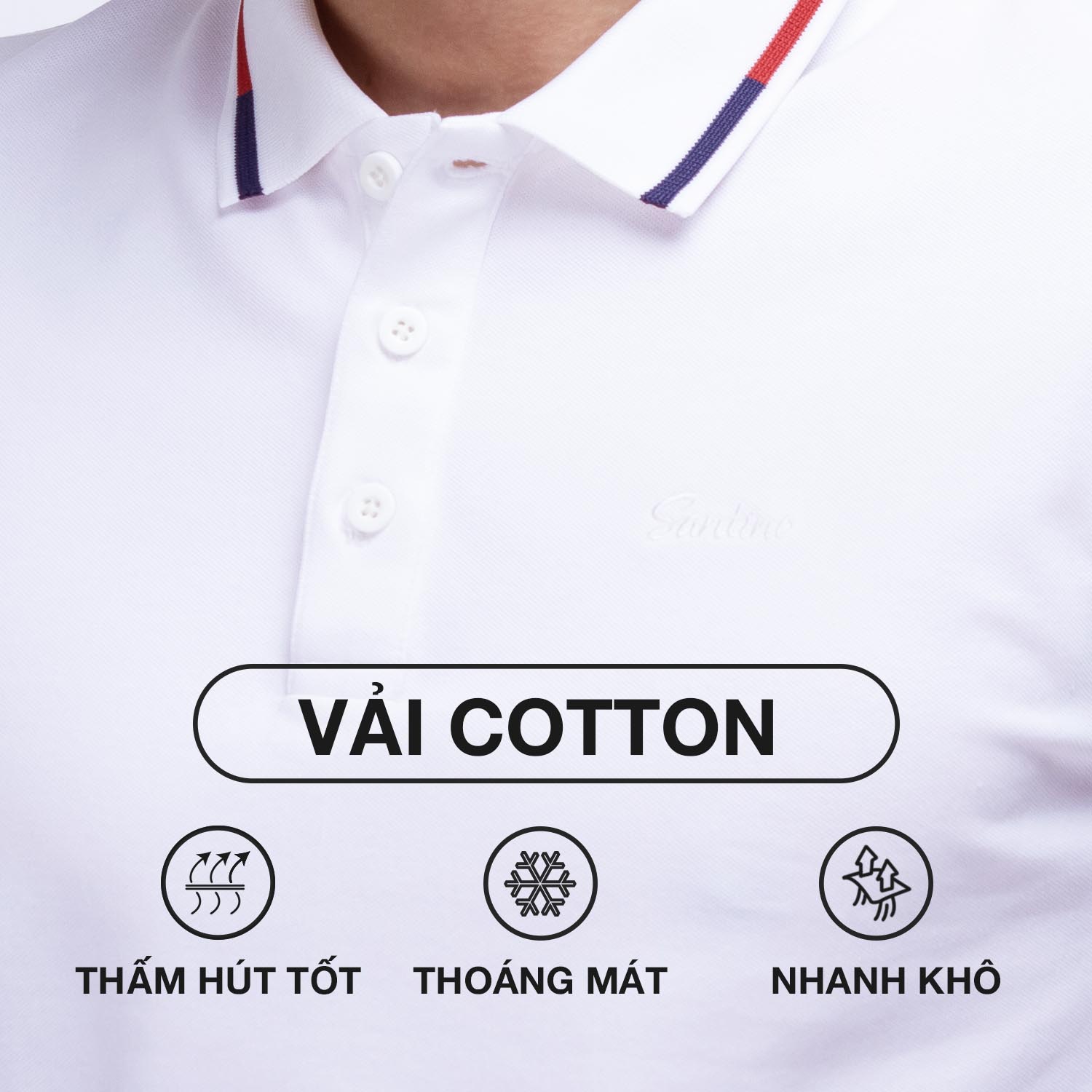 Áo Polo nam SANTINO, bo kẻ lịch lãm, Cotton Cá Sấu, kháng khuẩn chống nhăn - E010