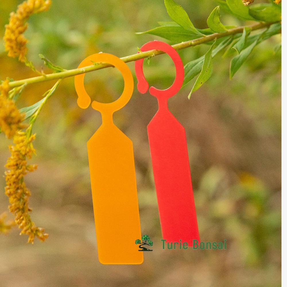 Thẻ ghi tên lan, cây cảnh,quả có móc treo, thẻ ghi tên cây có móc treo